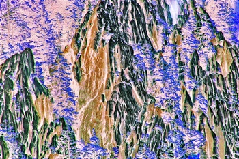L 062D